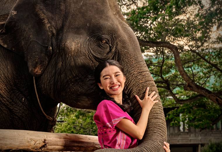 【曼谷】曼谷大象营保护园 - 半日游 Bangkok Elephant Park