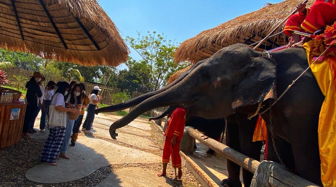 Sakon-Nakhon-Elephant-Rides