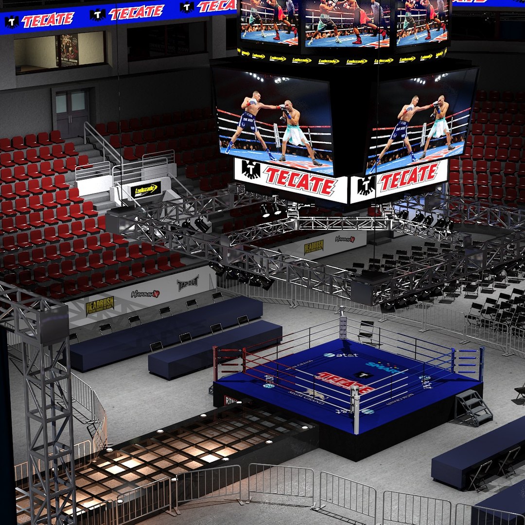 boxing30010
